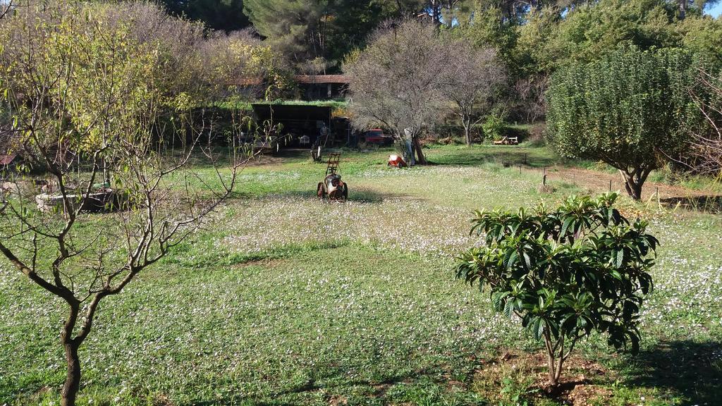 Le Mas Du Pin Vert Aubagne Eksteriør bilde